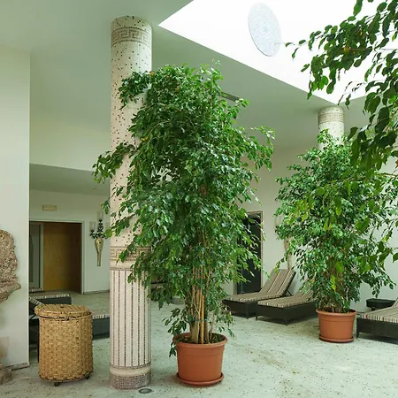 Terme Manzi Hotel&spa 5*