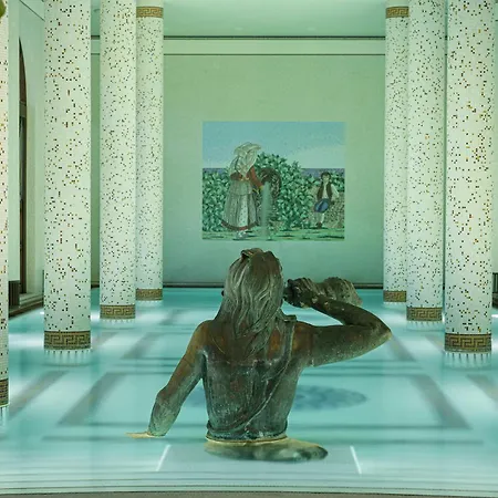 Terme Manzi Hotel&spa 5*